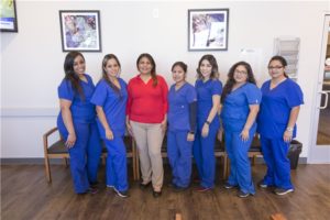 Best low cost dentist near me, accepts medicaid no insurance dental payment plan